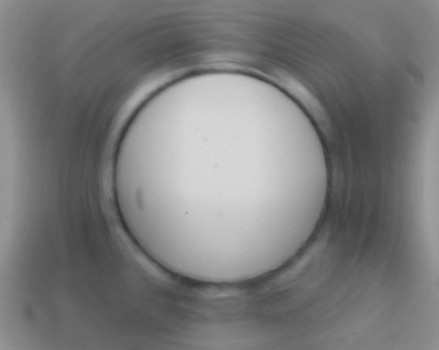 X0000114241384200910231515