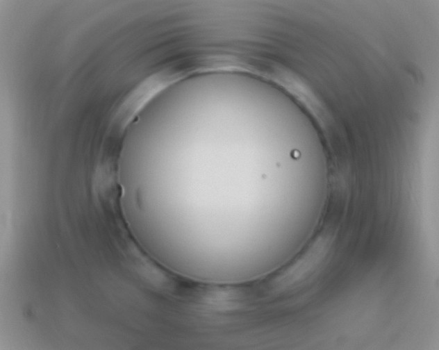 X0000114241385200910231515