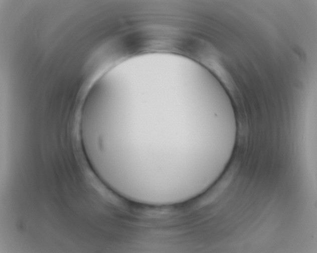 X0000114241386200910231515