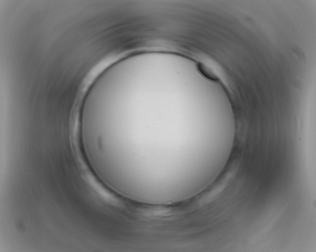 X0000114241387200910231515