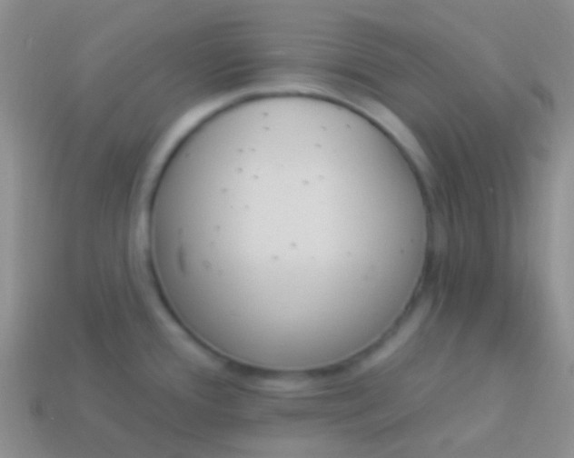 X0000114241388200910231515