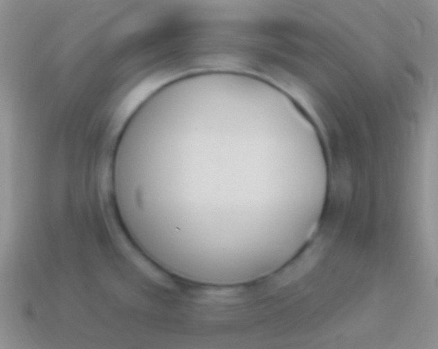 X0000114241389200910231515