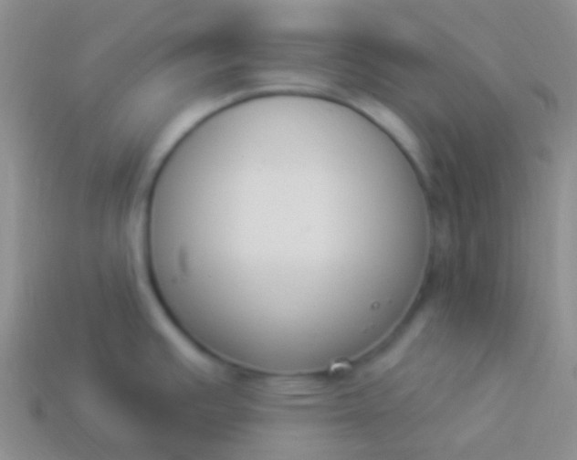 X0000114241391200910231515
