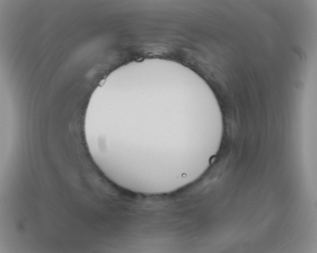 X0000114241393200910231514
