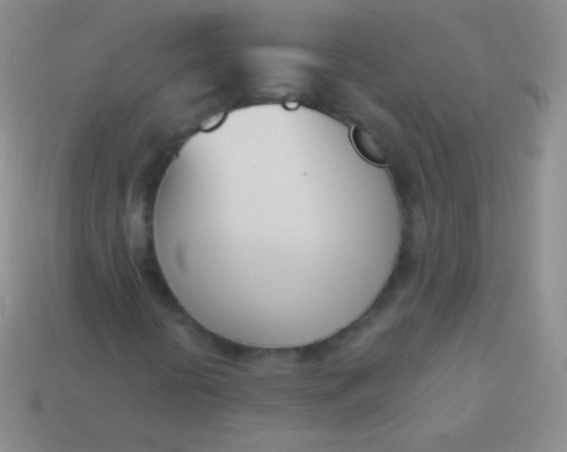 X0000114241394200910231514