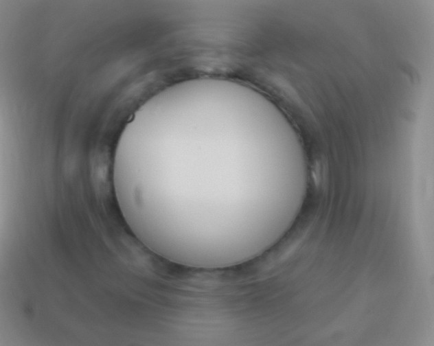 X0000114241396200910231514
