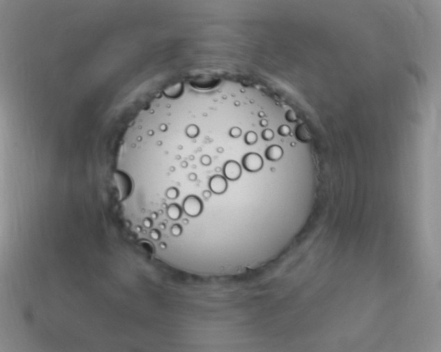 X0000114241399200910231515
