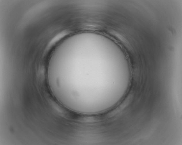 X0000114241402200910231515