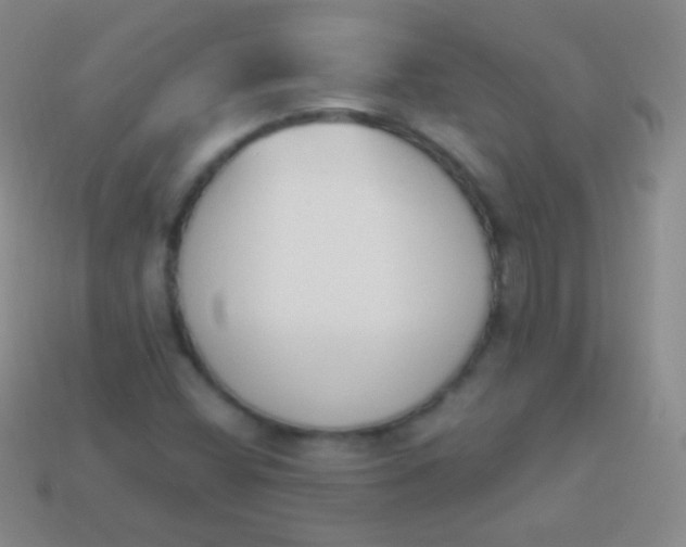 X0000114241404200910231515