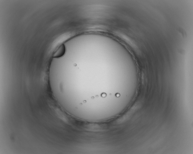 X0000114241405200910231515