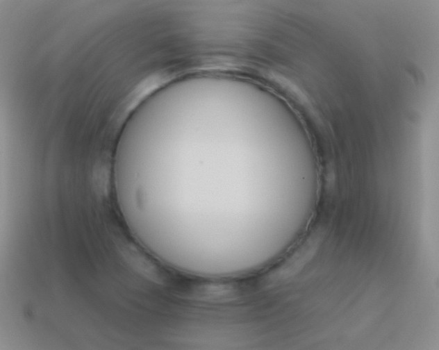 X0000114241409200910231515