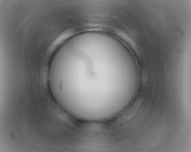 X0000114241411200910231515