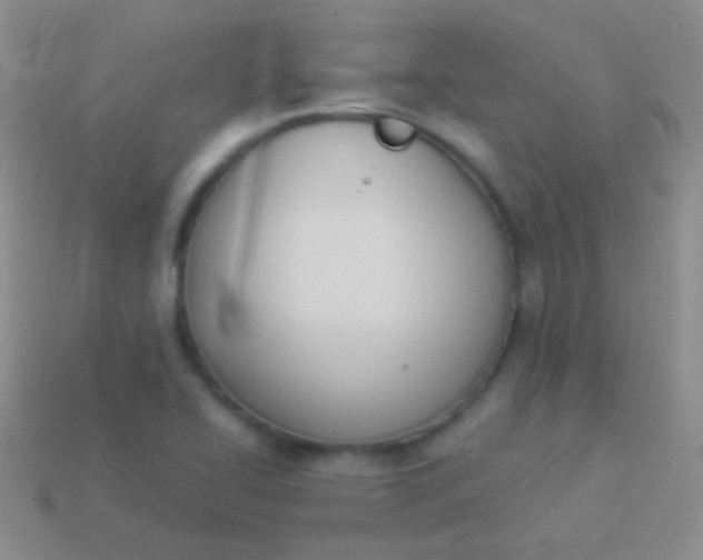 X0000114241414200910231515
