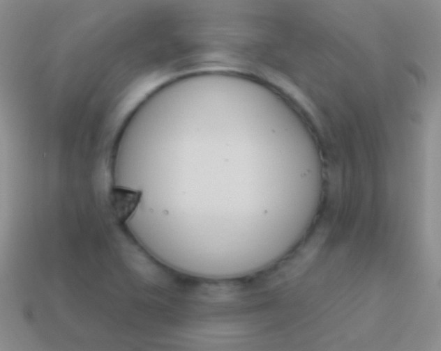 X0000114241415200910231515