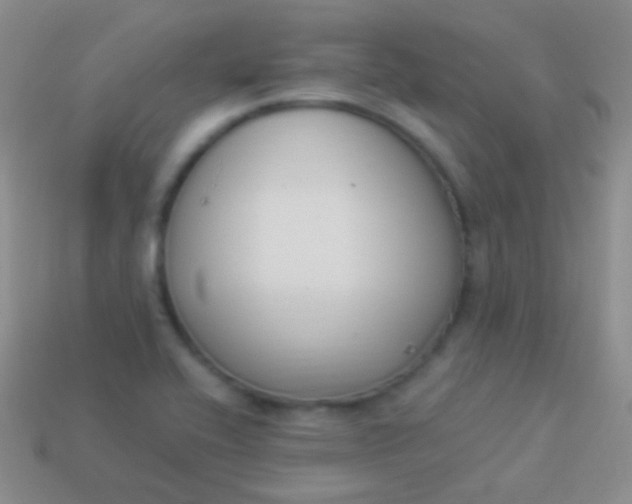 X0000114241416200910231515