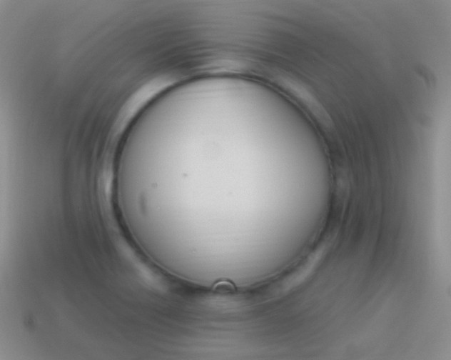 X0000114241418200910231515