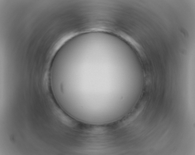 X0000114241423200910231515
