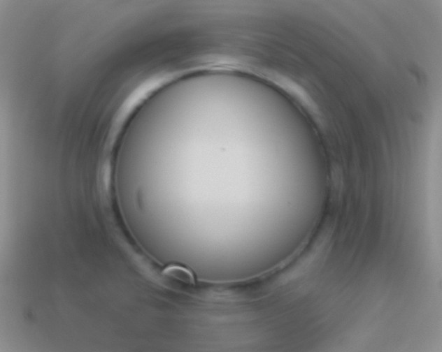 X0000114241424200910231515
