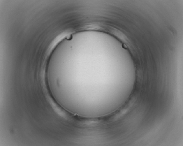 X0000114241426200910231515
