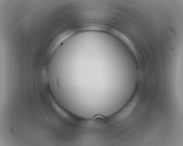 X0000114241433200910231515