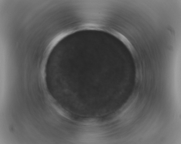 X0000114241435200910231515