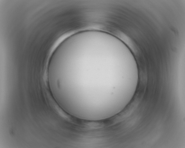 X0000114241436200910231515