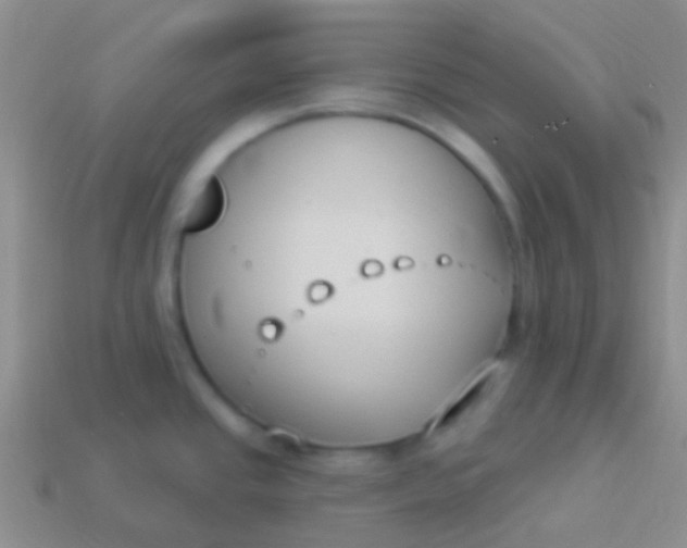X0000114241437200910231515