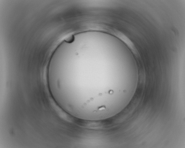 X0000114241439200910231515