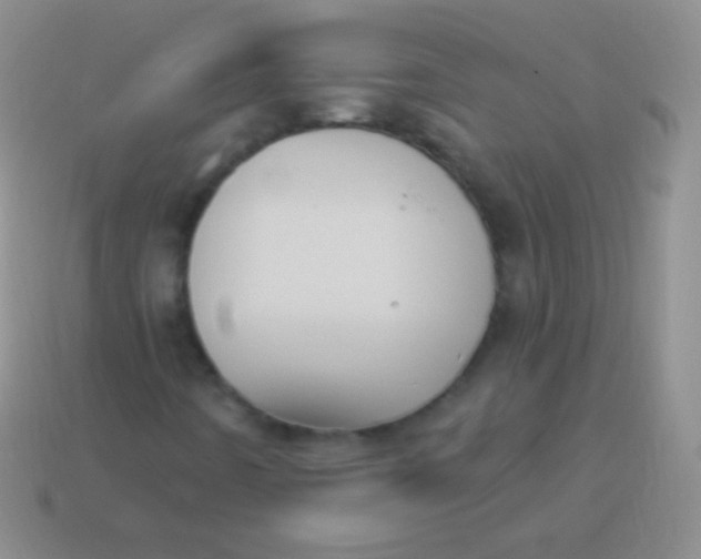 X0000114241442200910231514