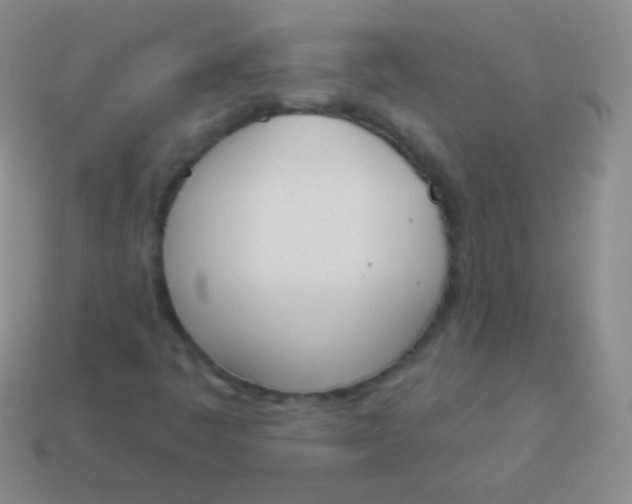 X0000114241445200910231514