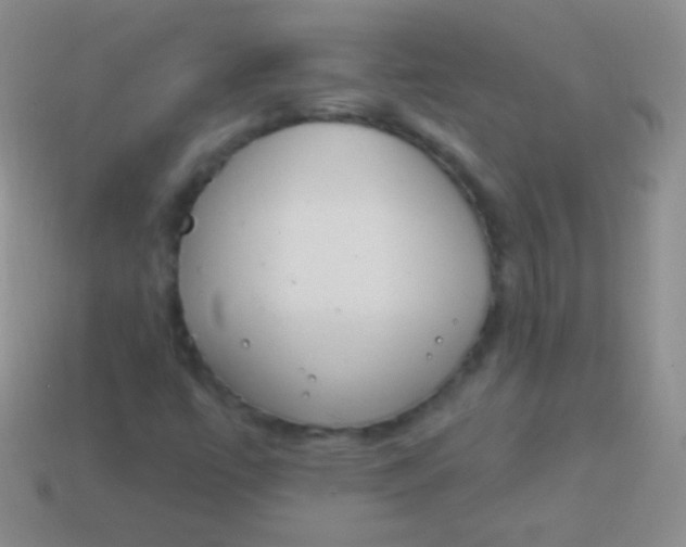 X0000114241447200910231514