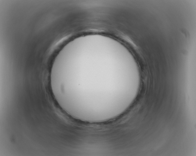 X0000114241448200910231514