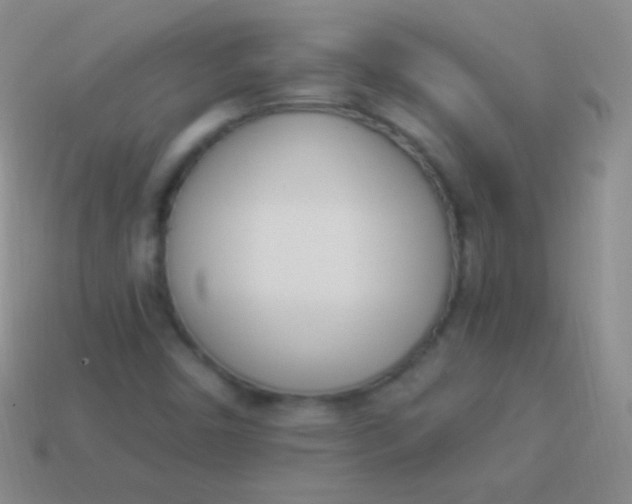 X0000114241450200910231514