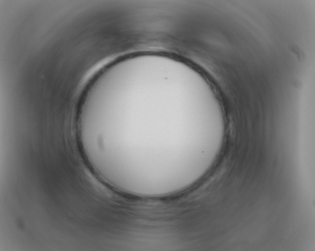 X0000114241452200910231514