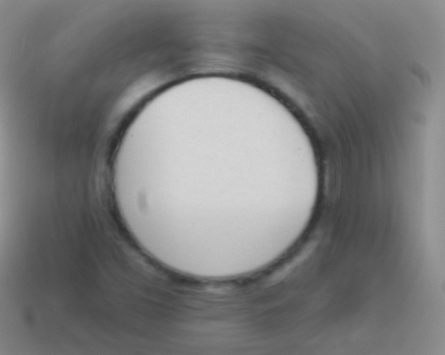 X0000114241453200910231514
