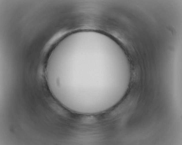 X0000114241454200910231514