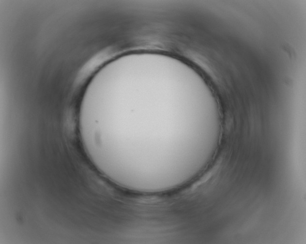 X0000114241455200910231514