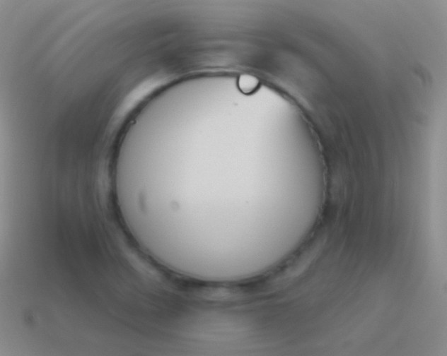 X0000114241458200910231514