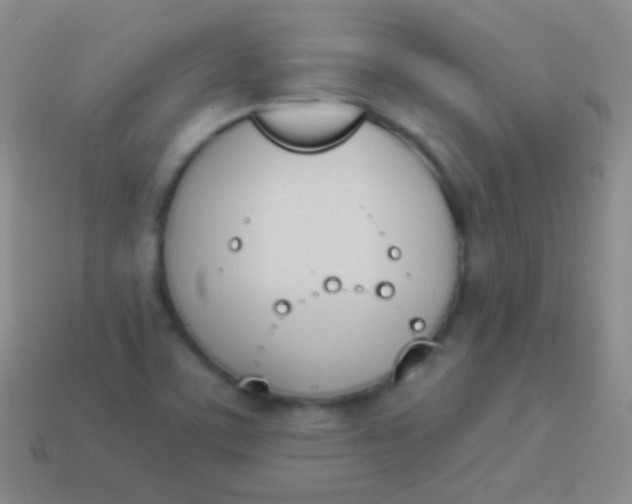 X0000114241459200910231514