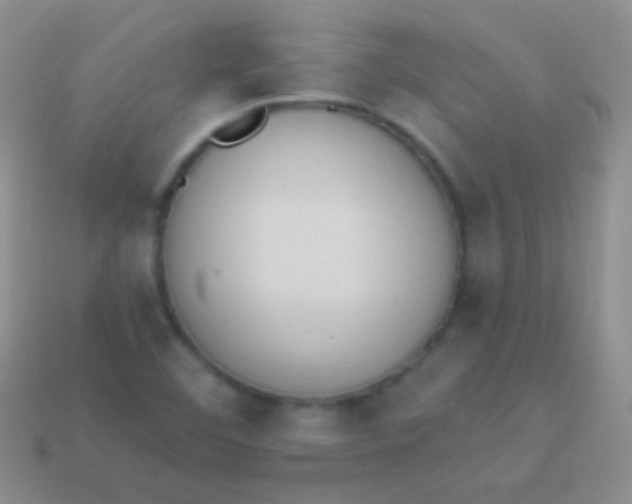 X0000114241460200910231514