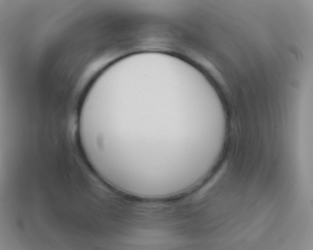 X0000114241461200910231514