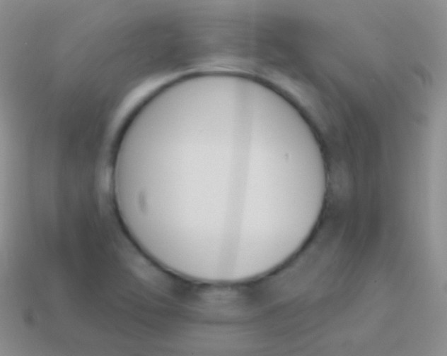X0000114241462200910231514