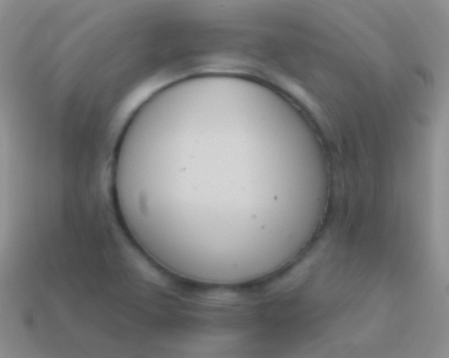 X0000114241463200910231514