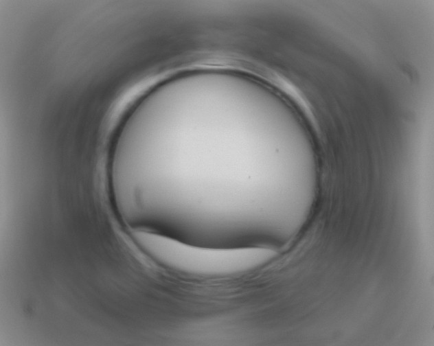 X0000114241464200910231514