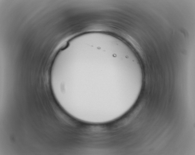 X0000114241465200910231514