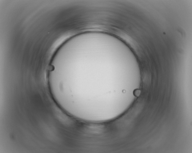 X0000114241466200910231514