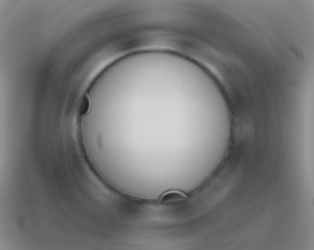 X0000114241468200910231514