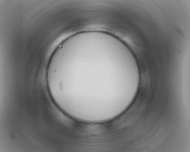 X0000114241470200910231514