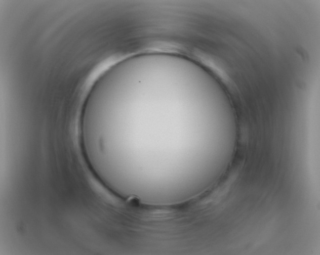 X0000114241471200910231514
