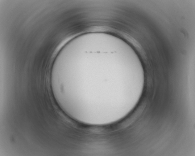 X0000114241473200910231514